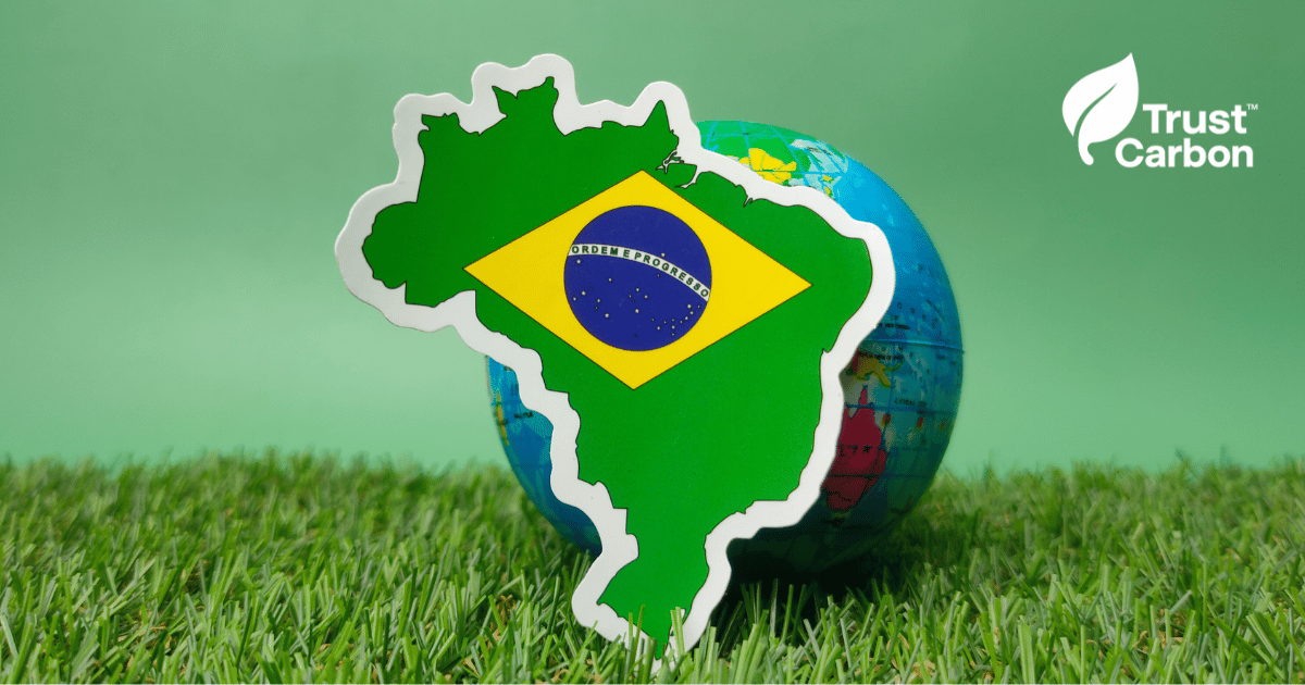 Carbon Credits Market 2025